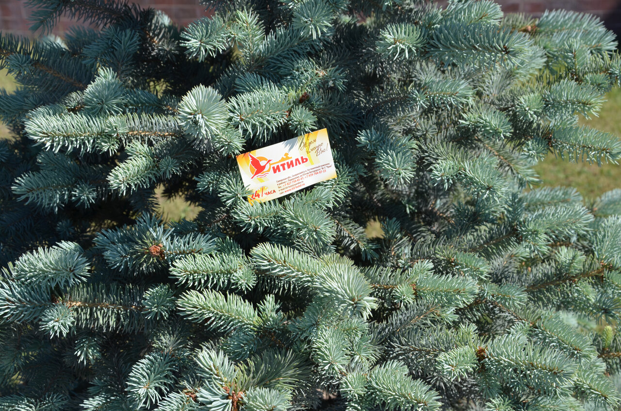 Гостиница Итиль Переволоки-120