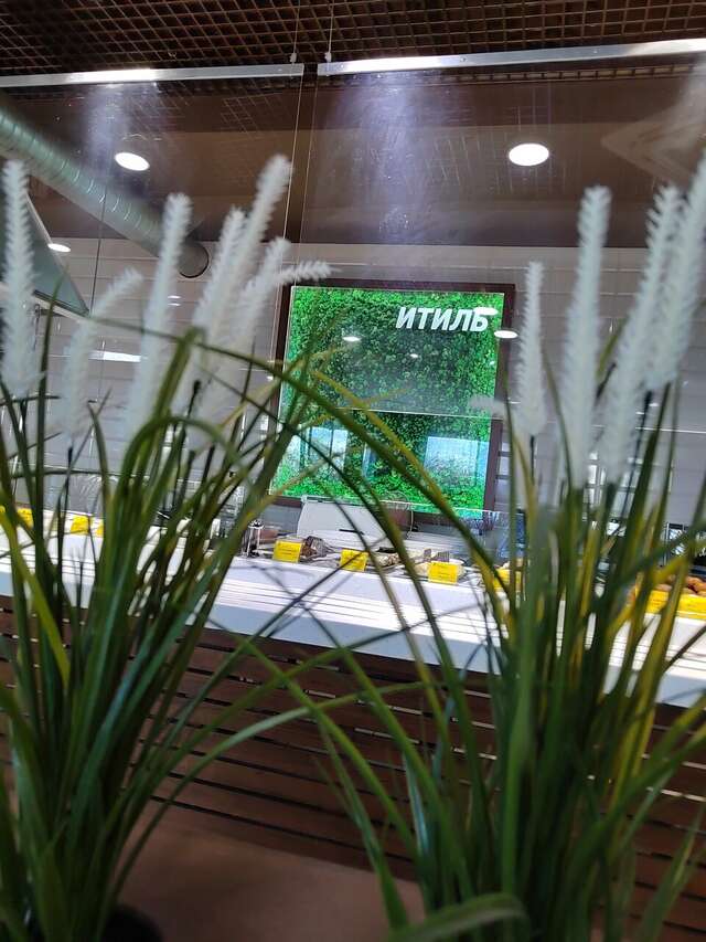 Гостиница Итиль Переволоки-177